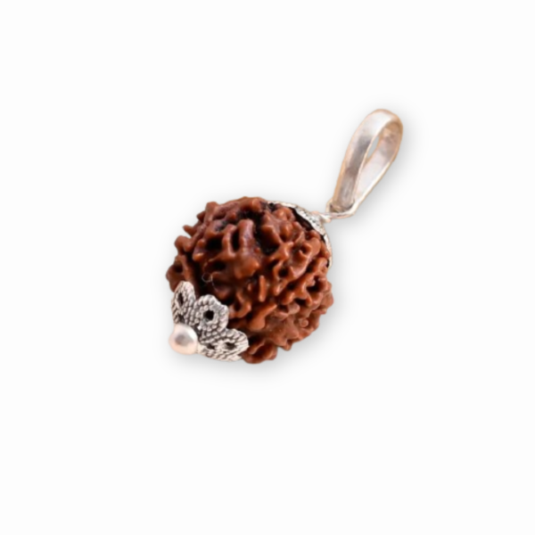 4 Mukhi Rudraksha