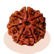 Rudraksha Category
